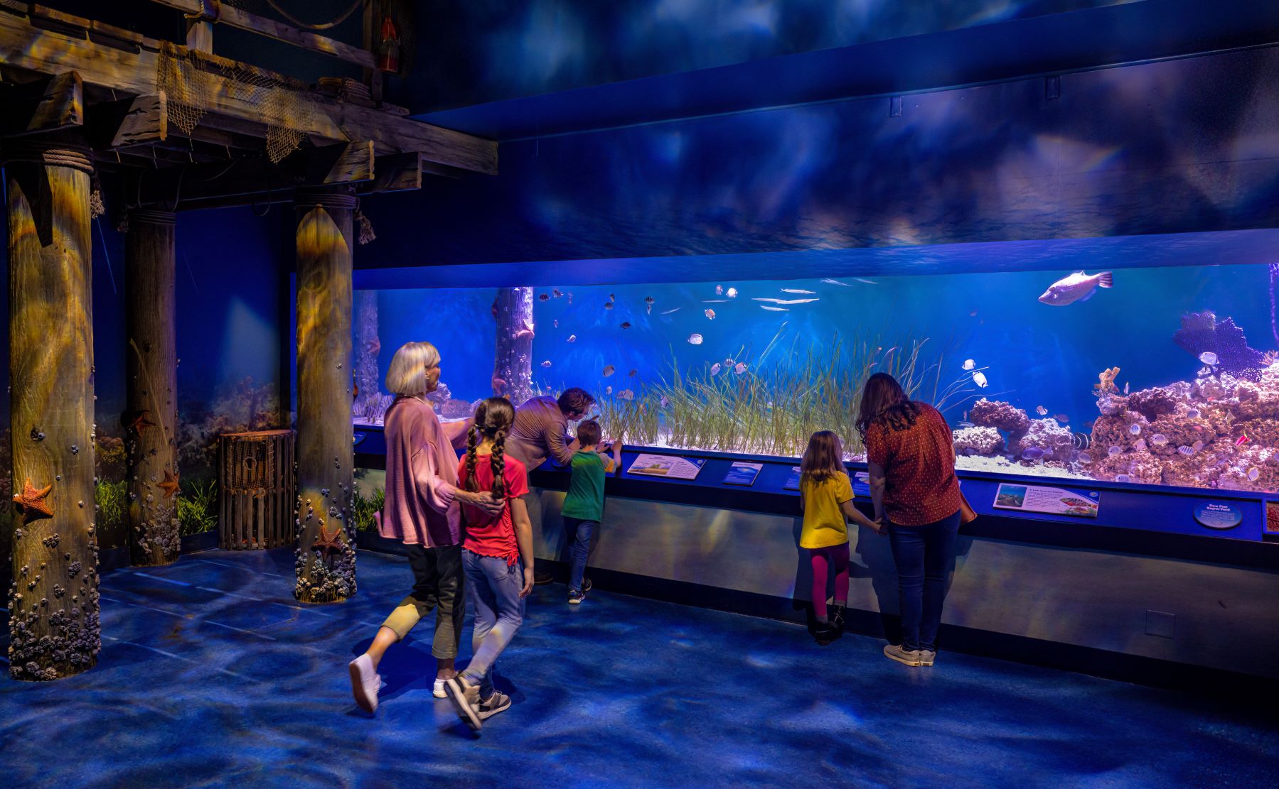 families enjoy the Cincinnati Newport Aquarium