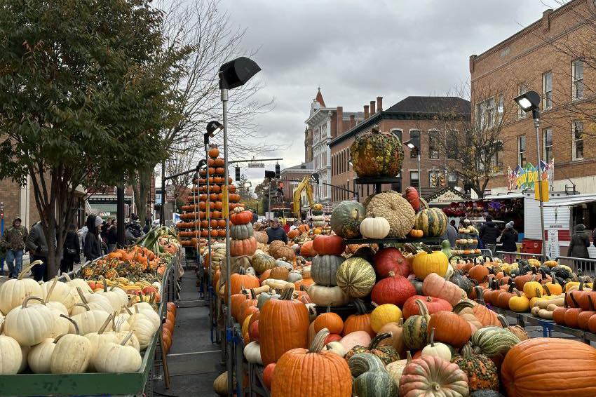 rows of piled pumpkins on the street for Circleville Pumpkin Show