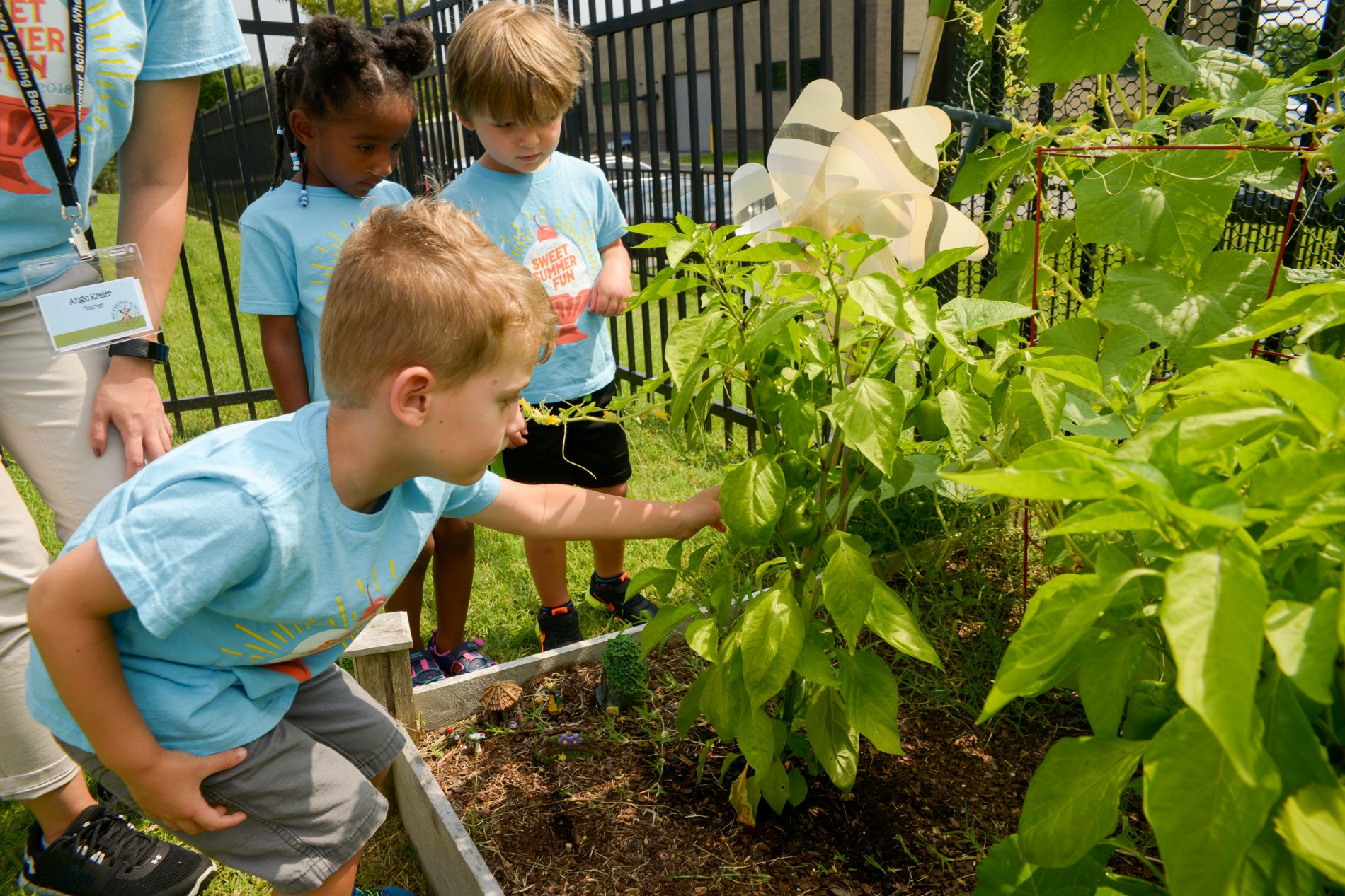 Preschoolers learning about plants