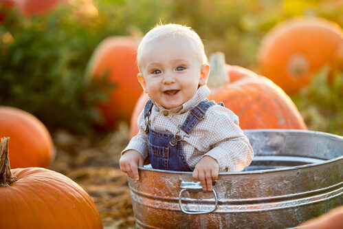 Little boy in a pumpkin patch