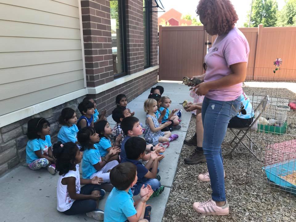Preschoolers learning about ducks at camp