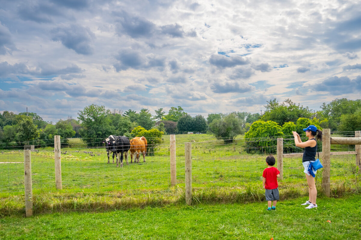Photo by Luis Trinh Nava (Historic Wagner Farm) Outdoor activity Glenview-Northbrook