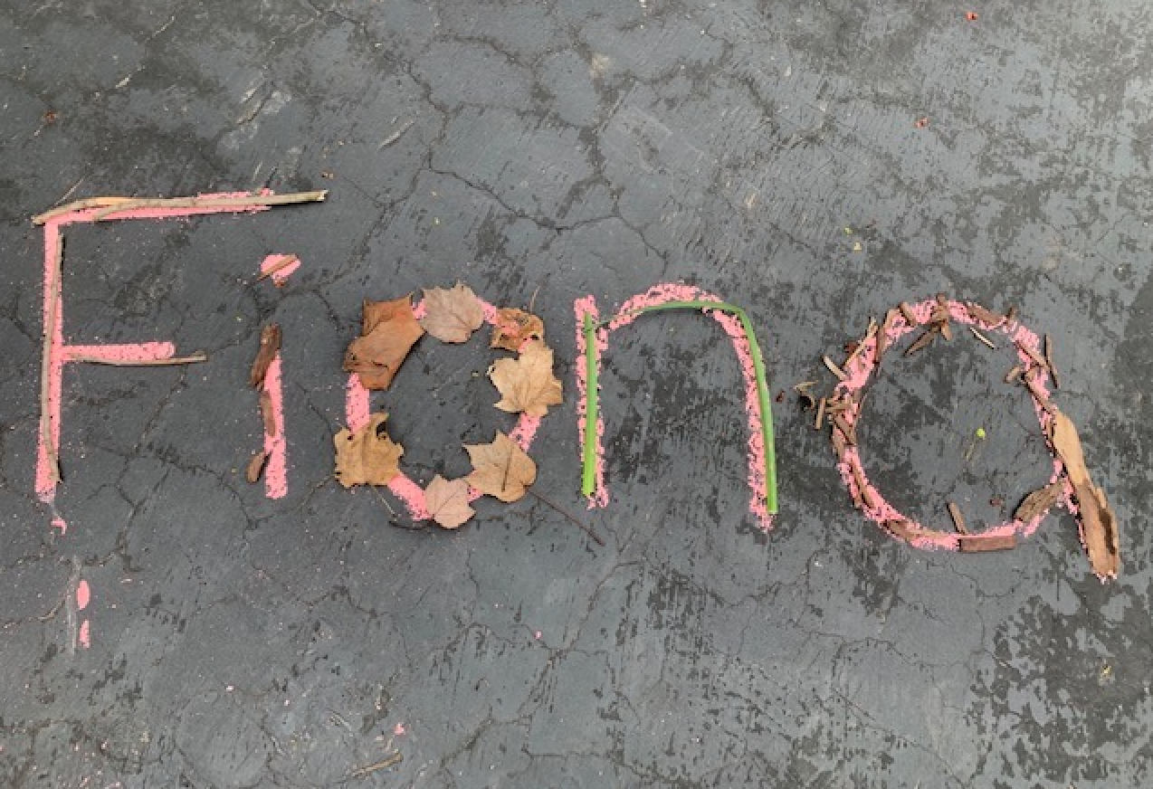 nature letter tracing activity