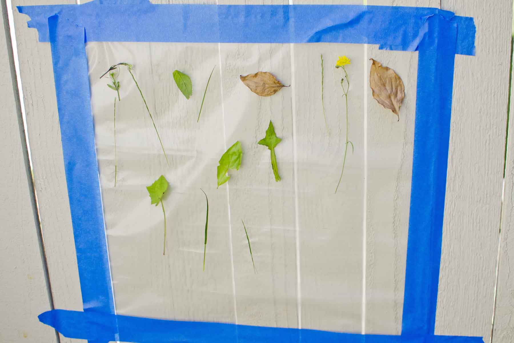 outdoor sticky wall activity