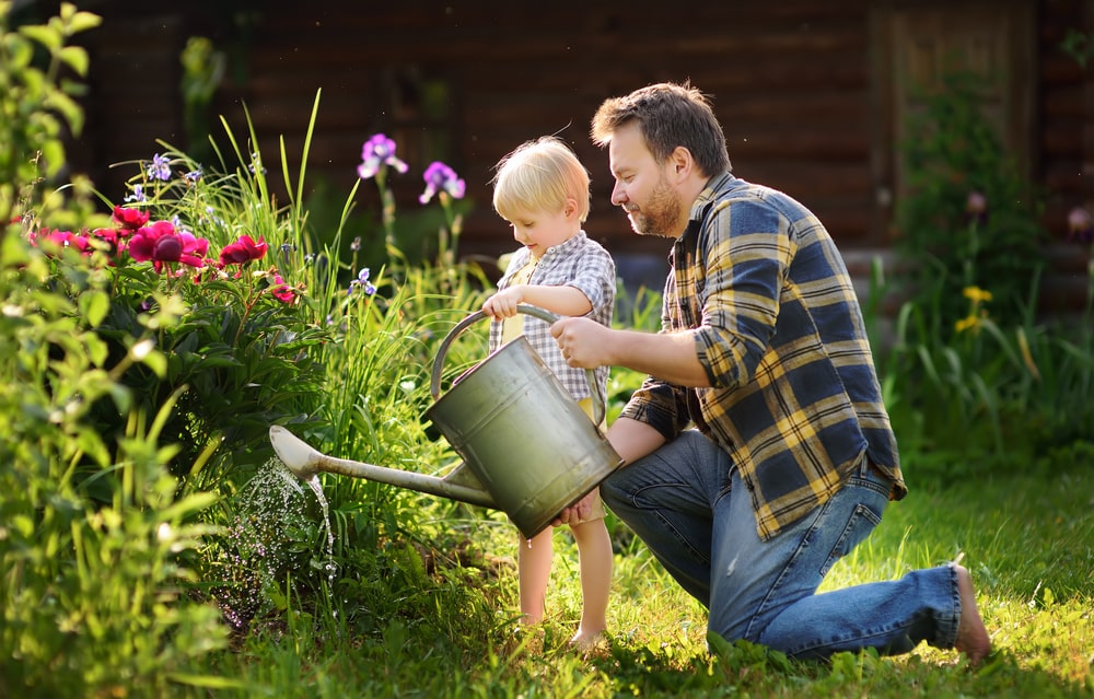 father-and-preschooler-gardening