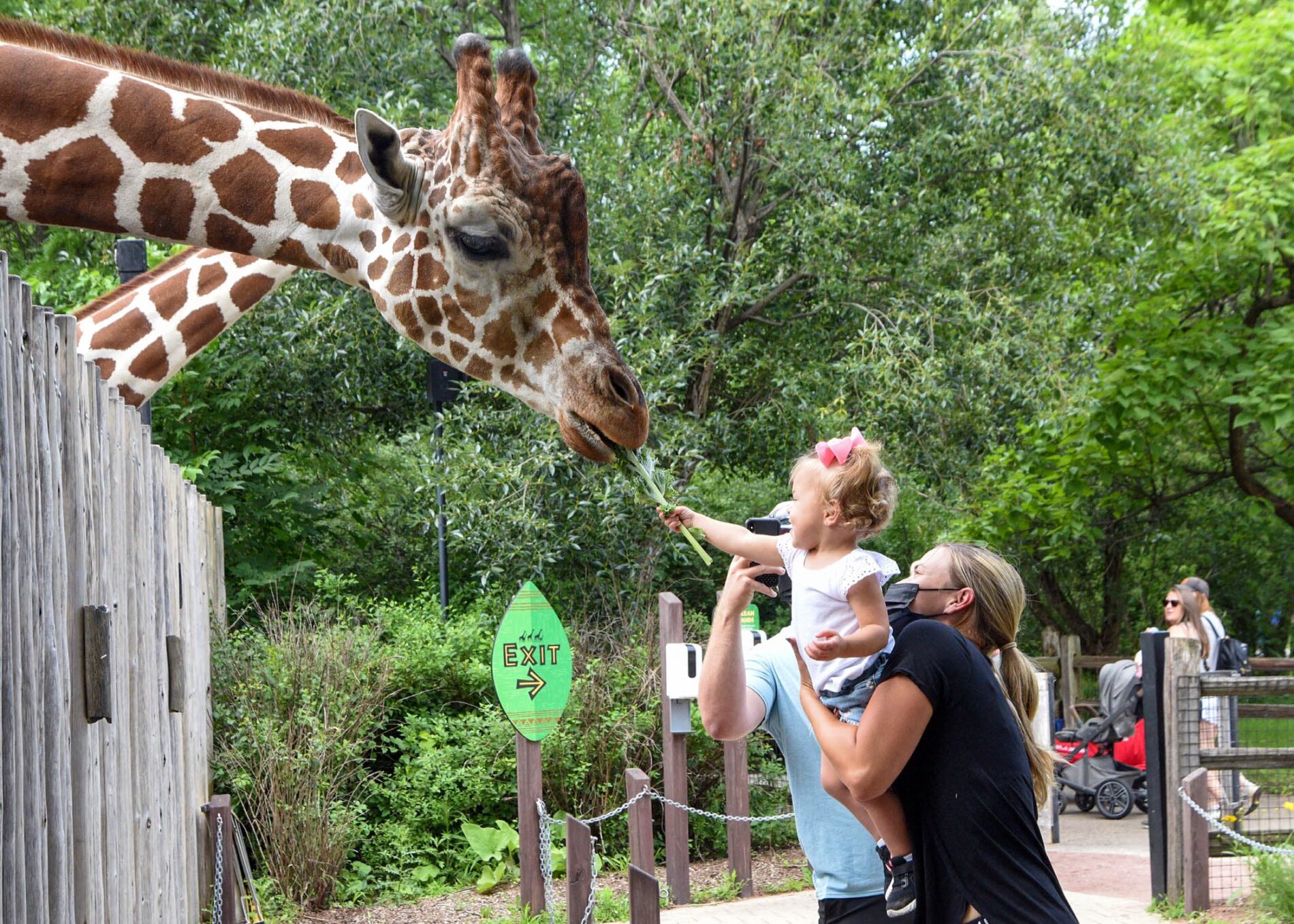 Brookfield-Zoo