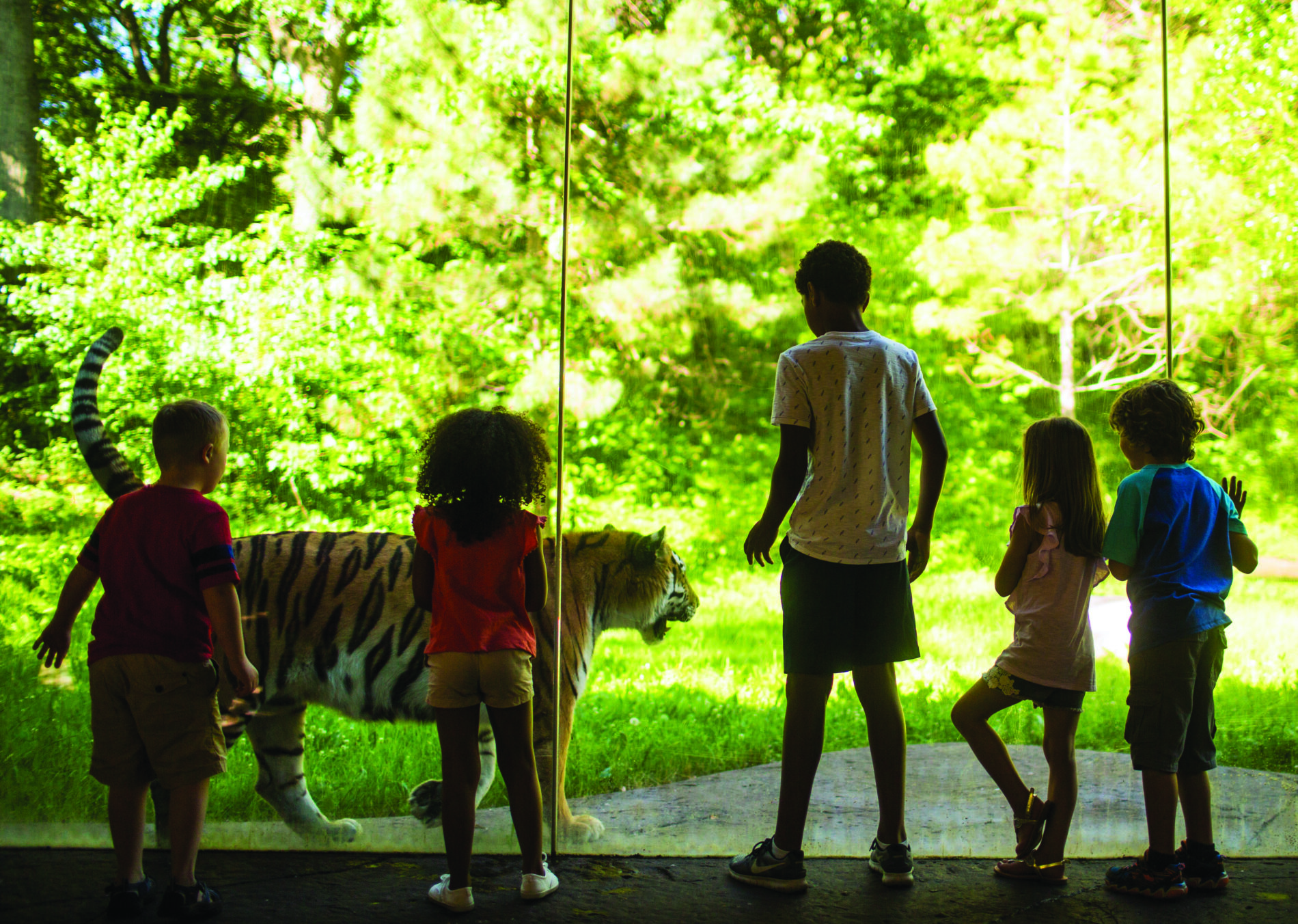 Photo By The Minnesota Zoo