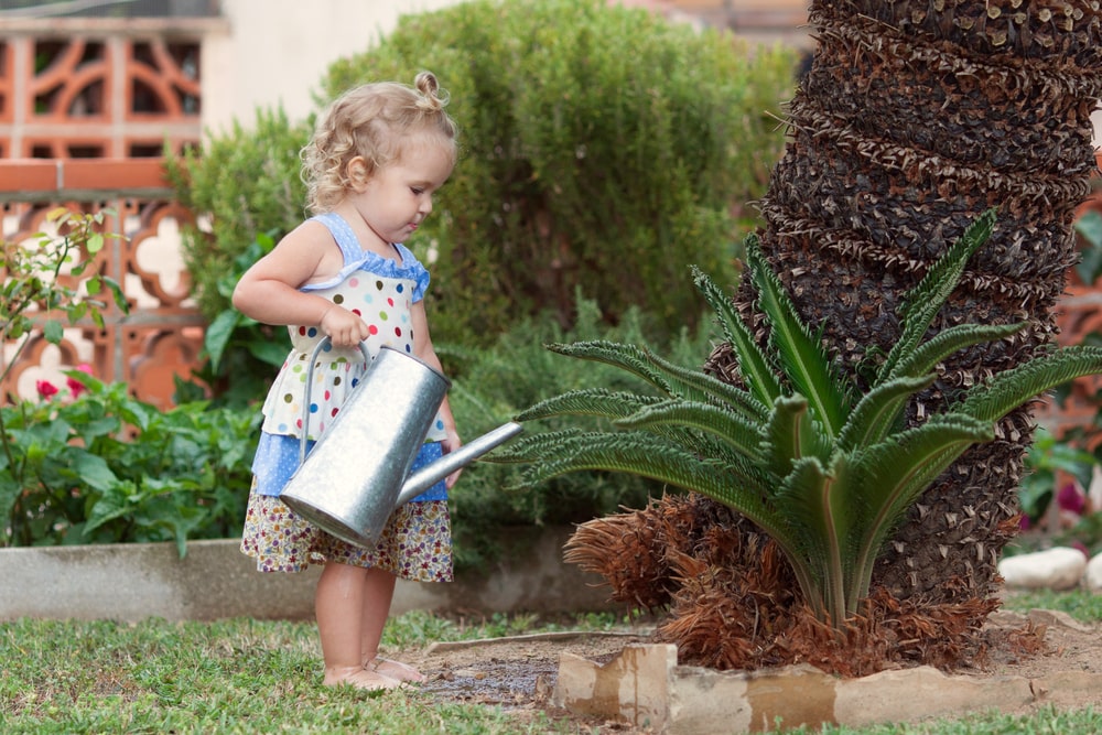 toddler watering plants