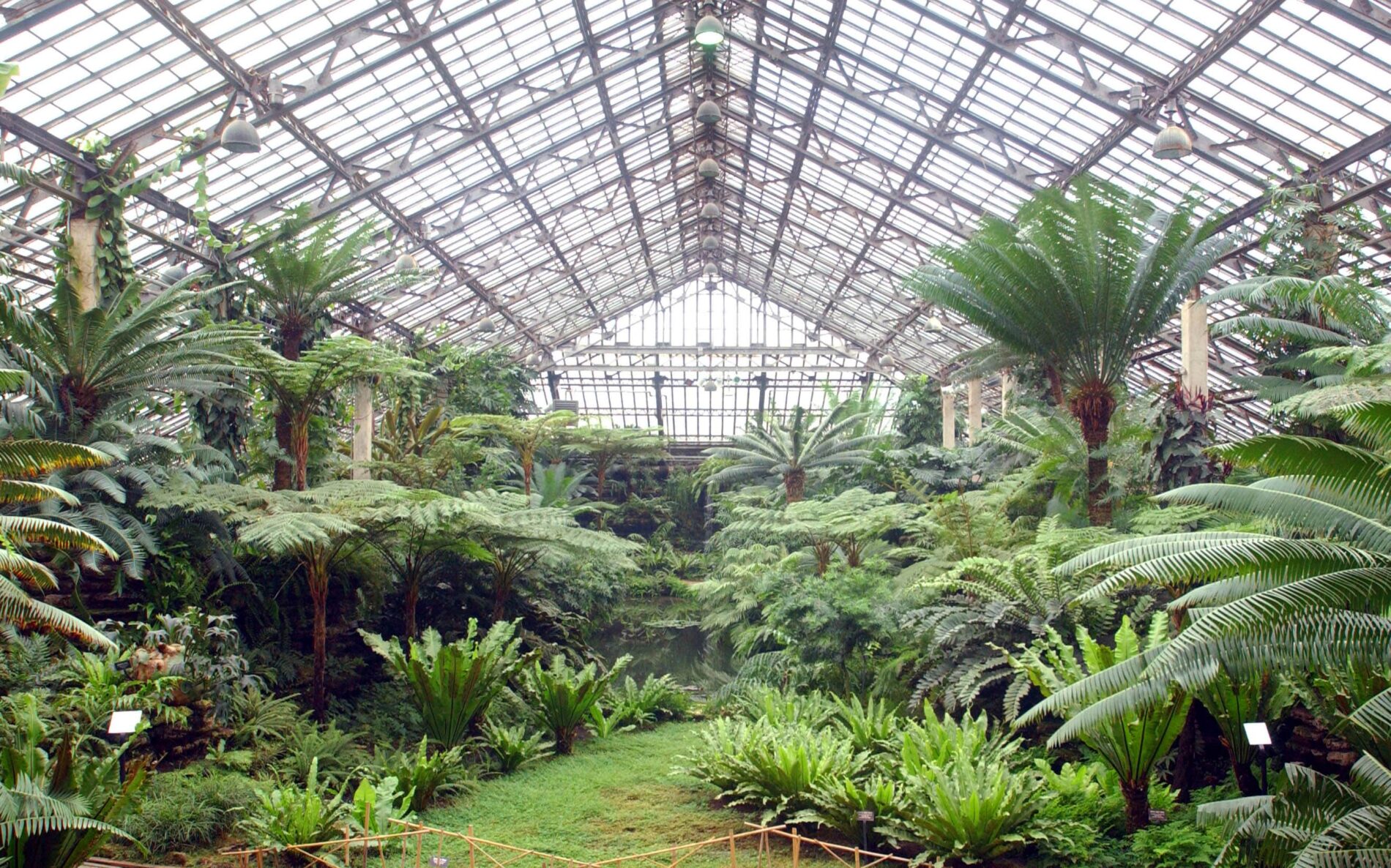 Photo by Garfield Conservatory