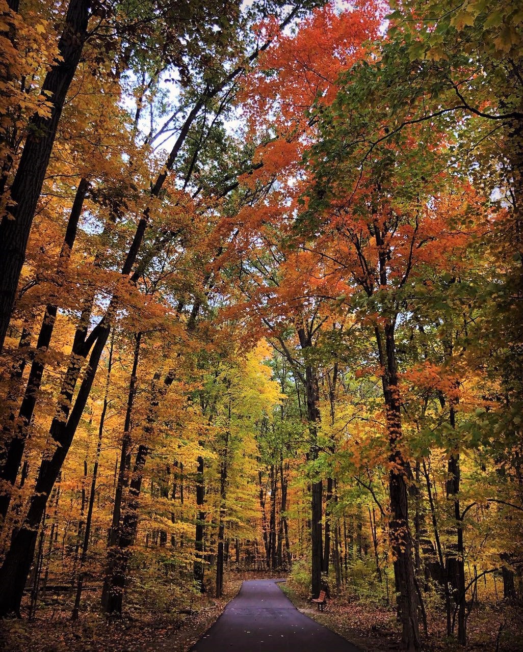 Photo by Emily Kent (Glacier Ridge Metro Park)