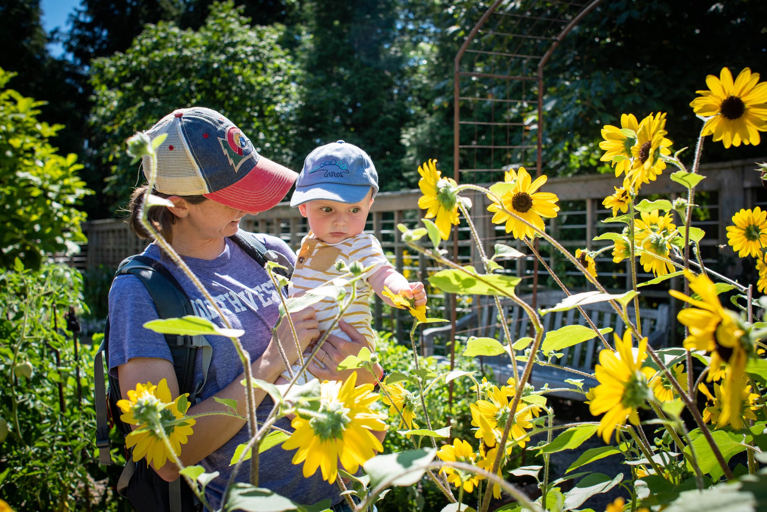 mom and son looking at yellow flowers at Chicago Botanic Garden