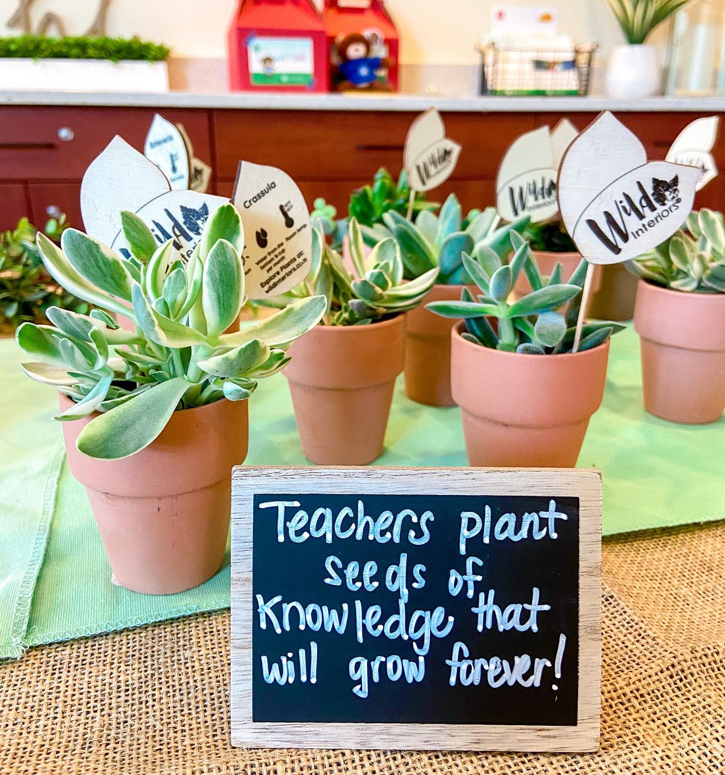 plants for teacher appreciation