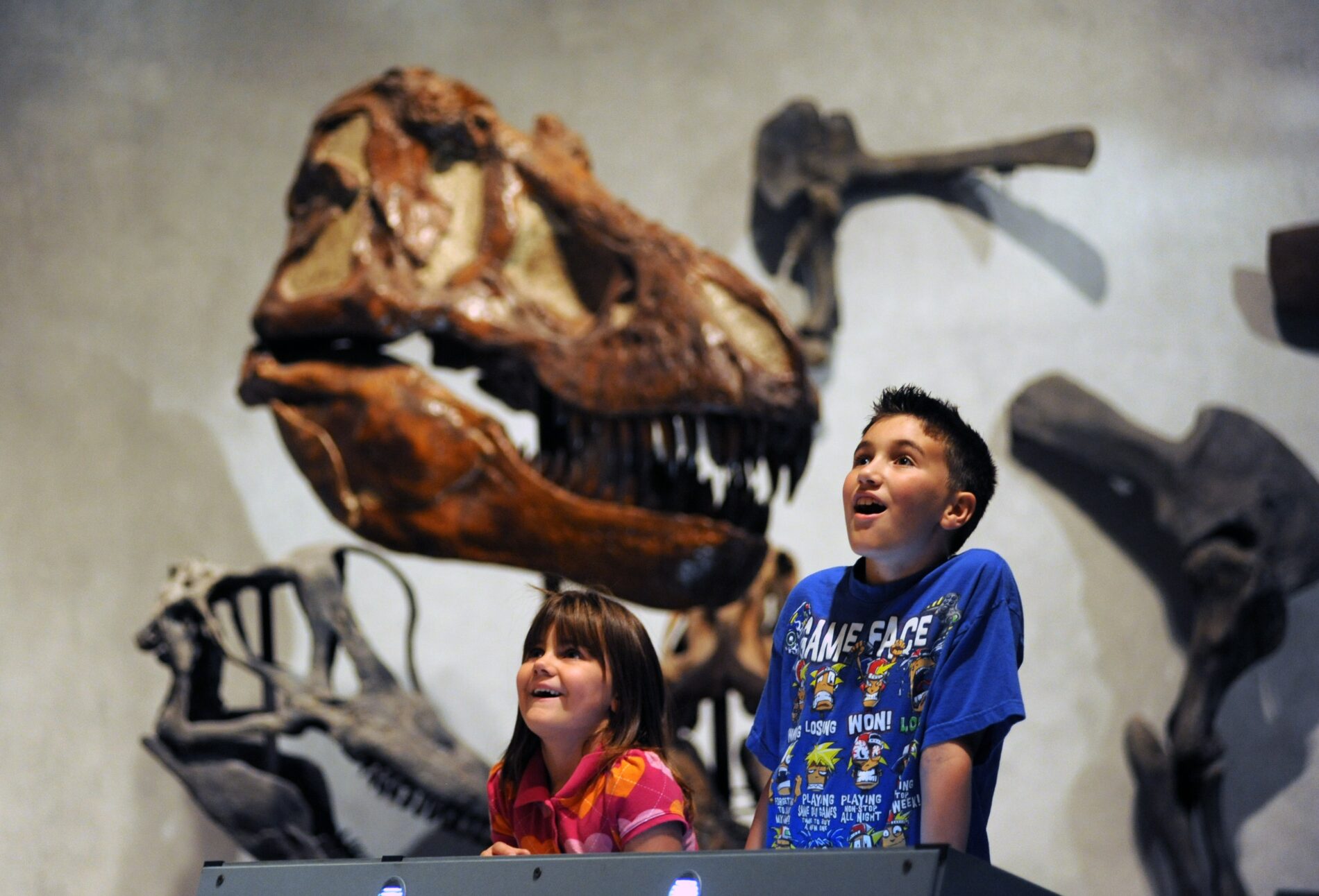 children looking at dinosaur skull at Denver Museum of Nature & Science