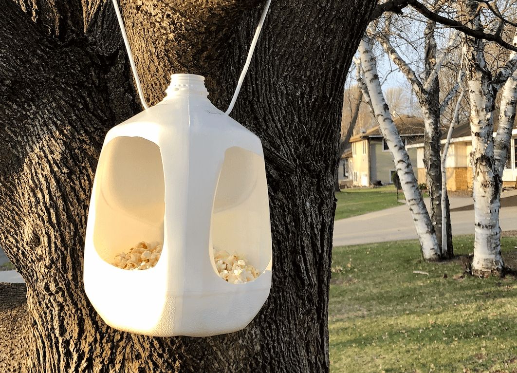 milk jug bird feeder hanging on a tree