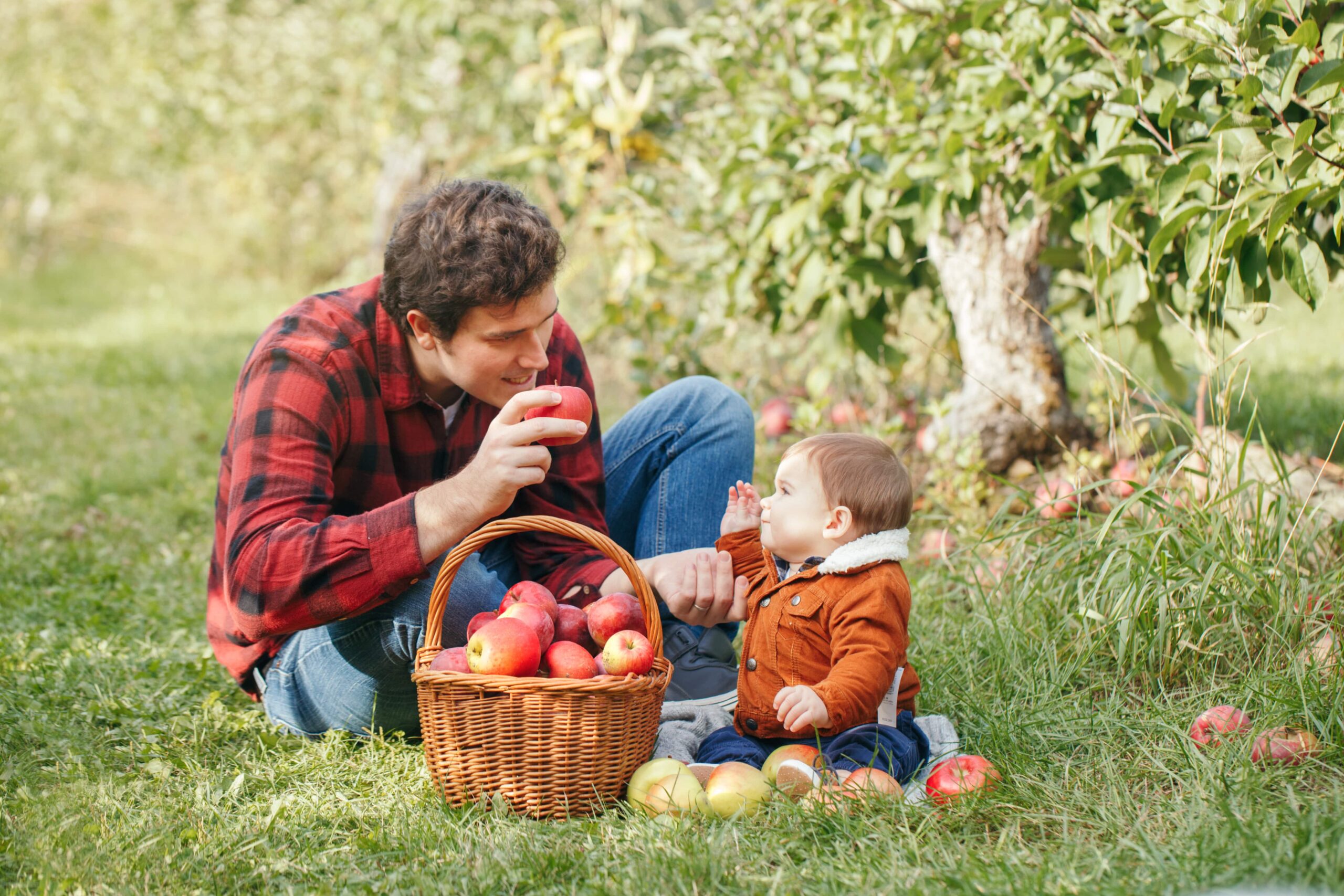 father and child with a full apple picking basket