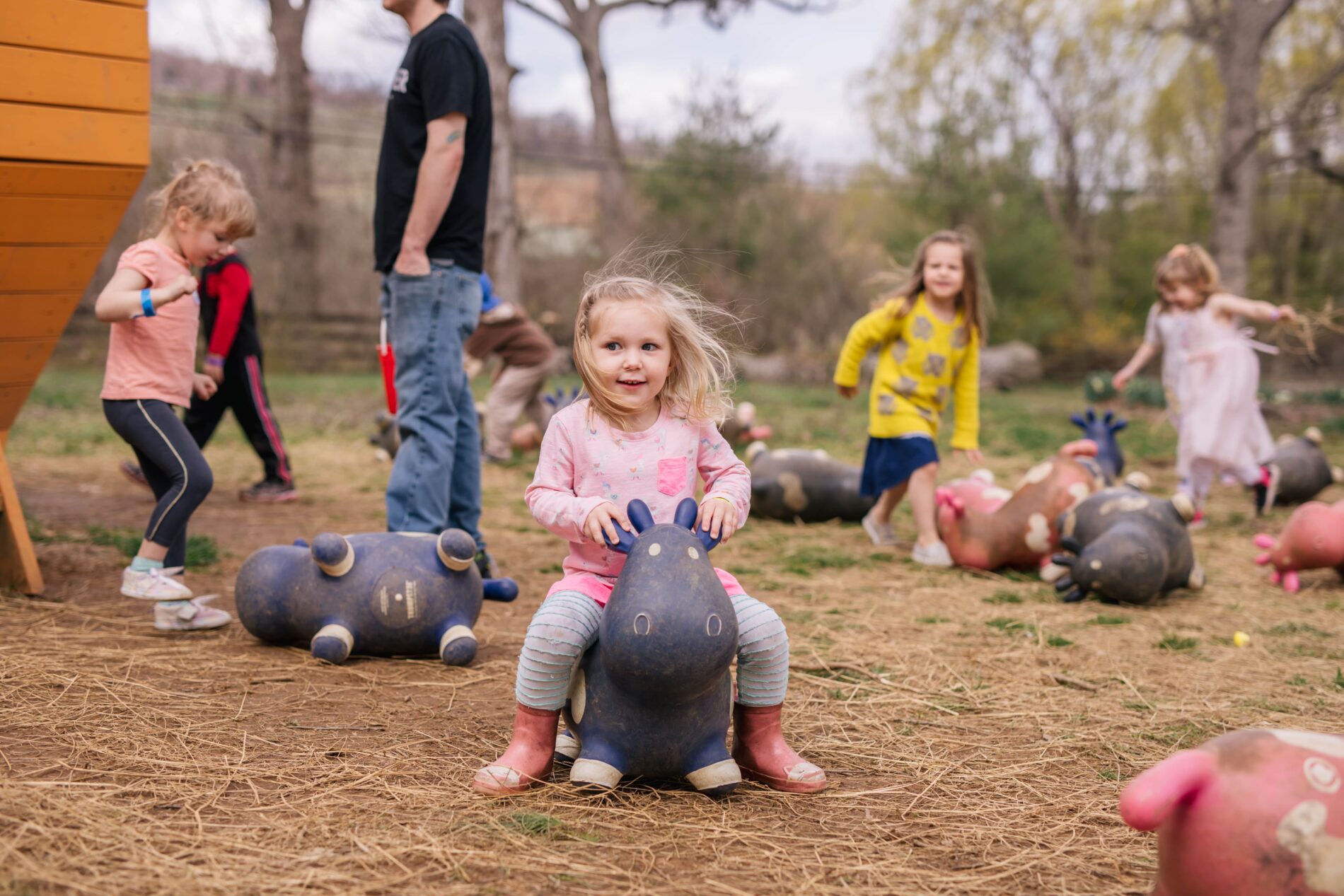 children playing on little cows at Great Country Farms