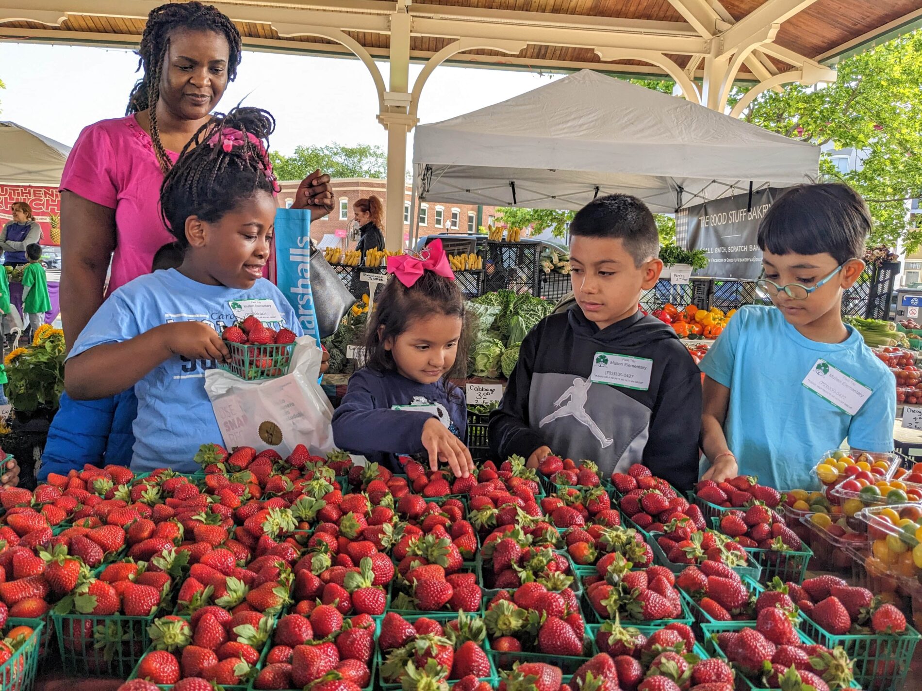 children choosing strawberries at Historic Manassas Farmers Market