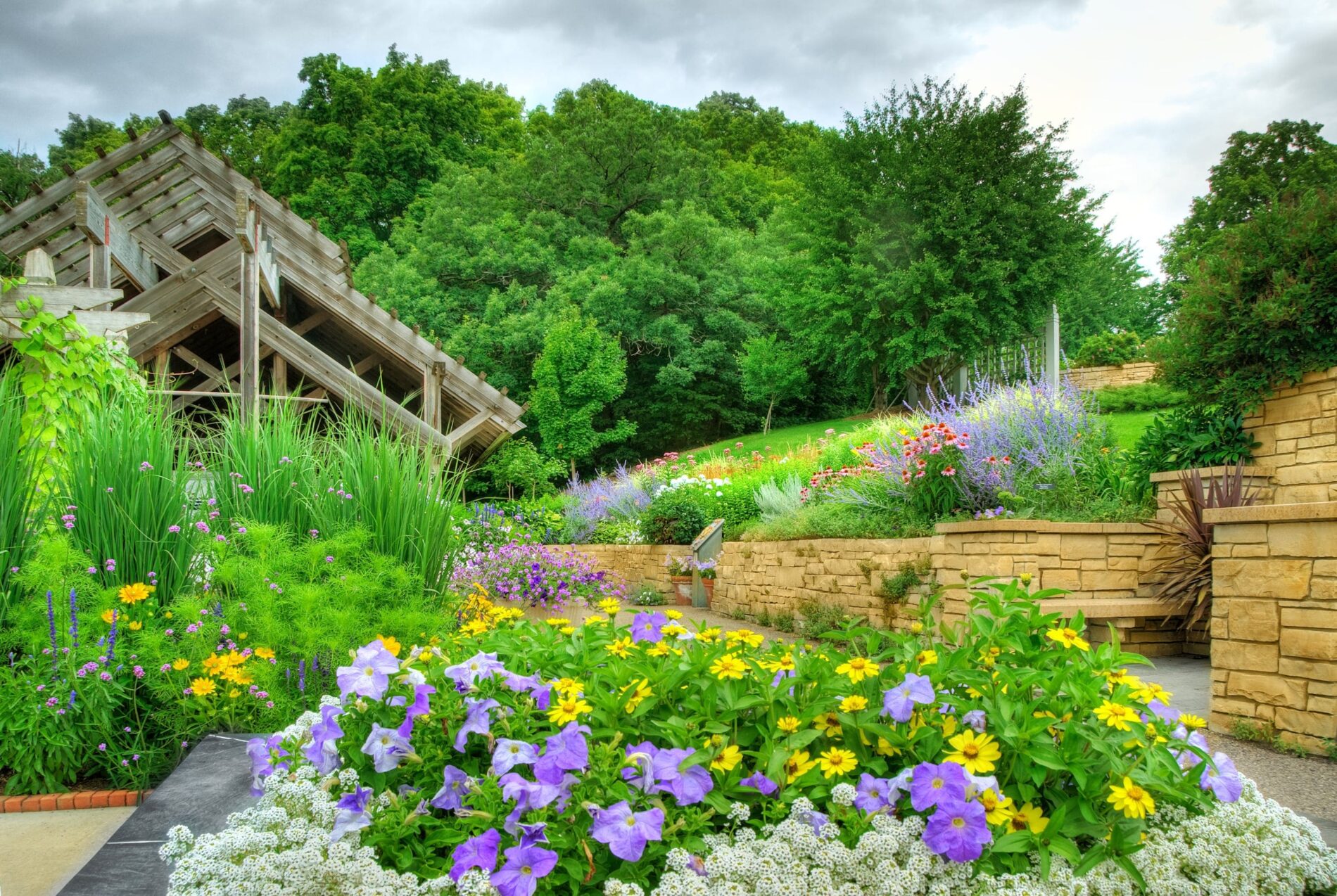 purple and yellow flowers at Minnesota Landscape Arboretum