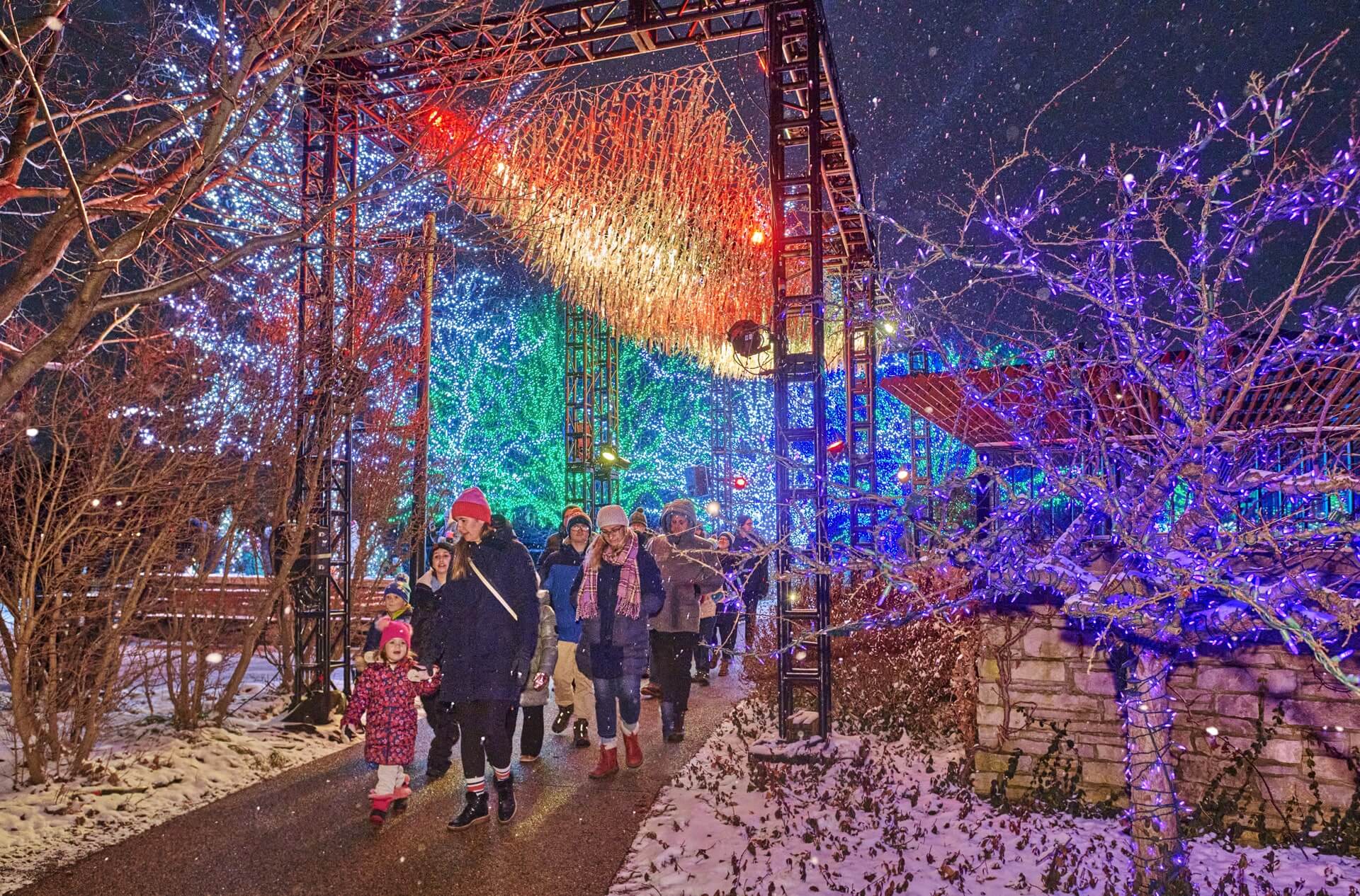 families walking through tree lights holiday display at Morton Arboretum