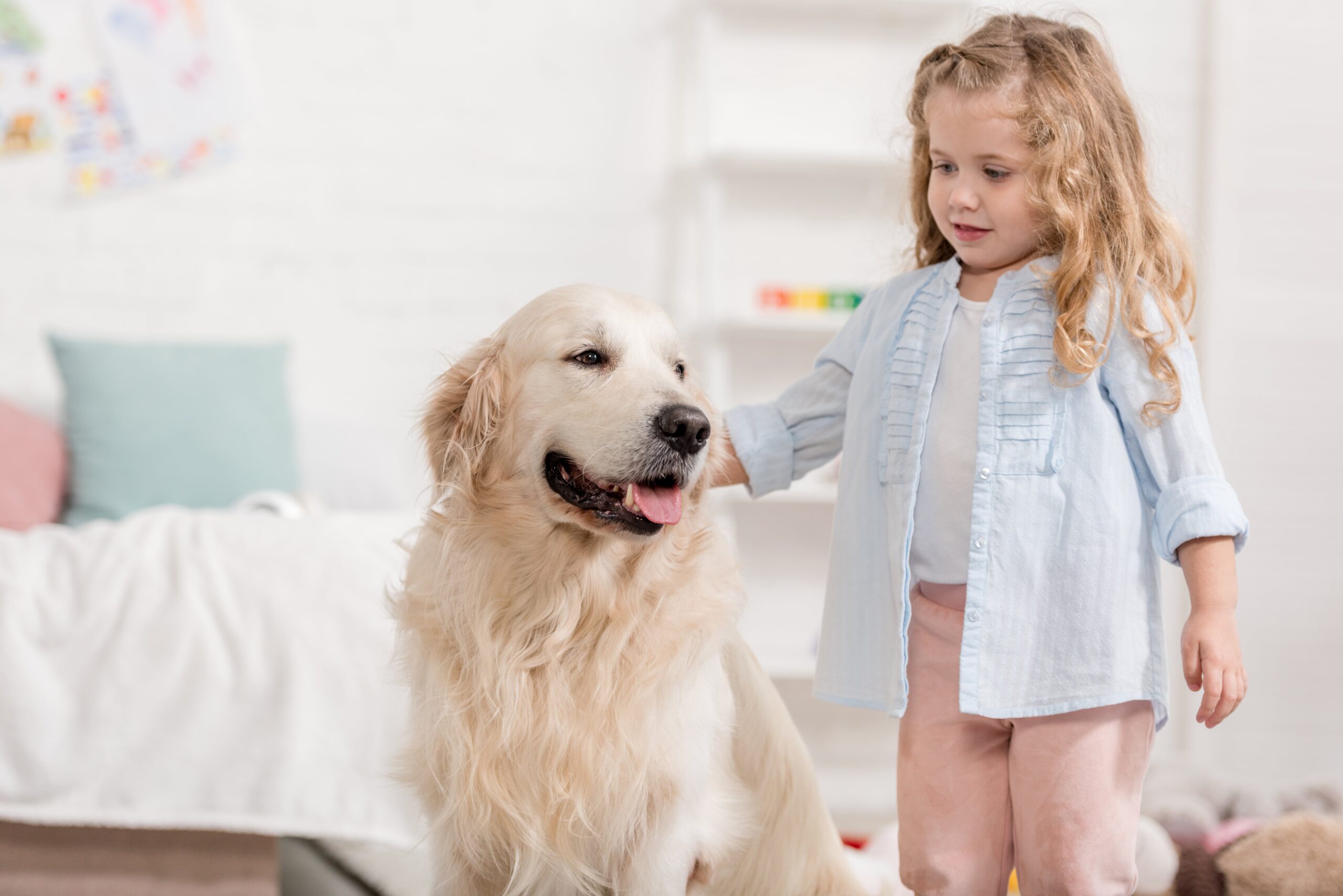 Little girl petting a dog