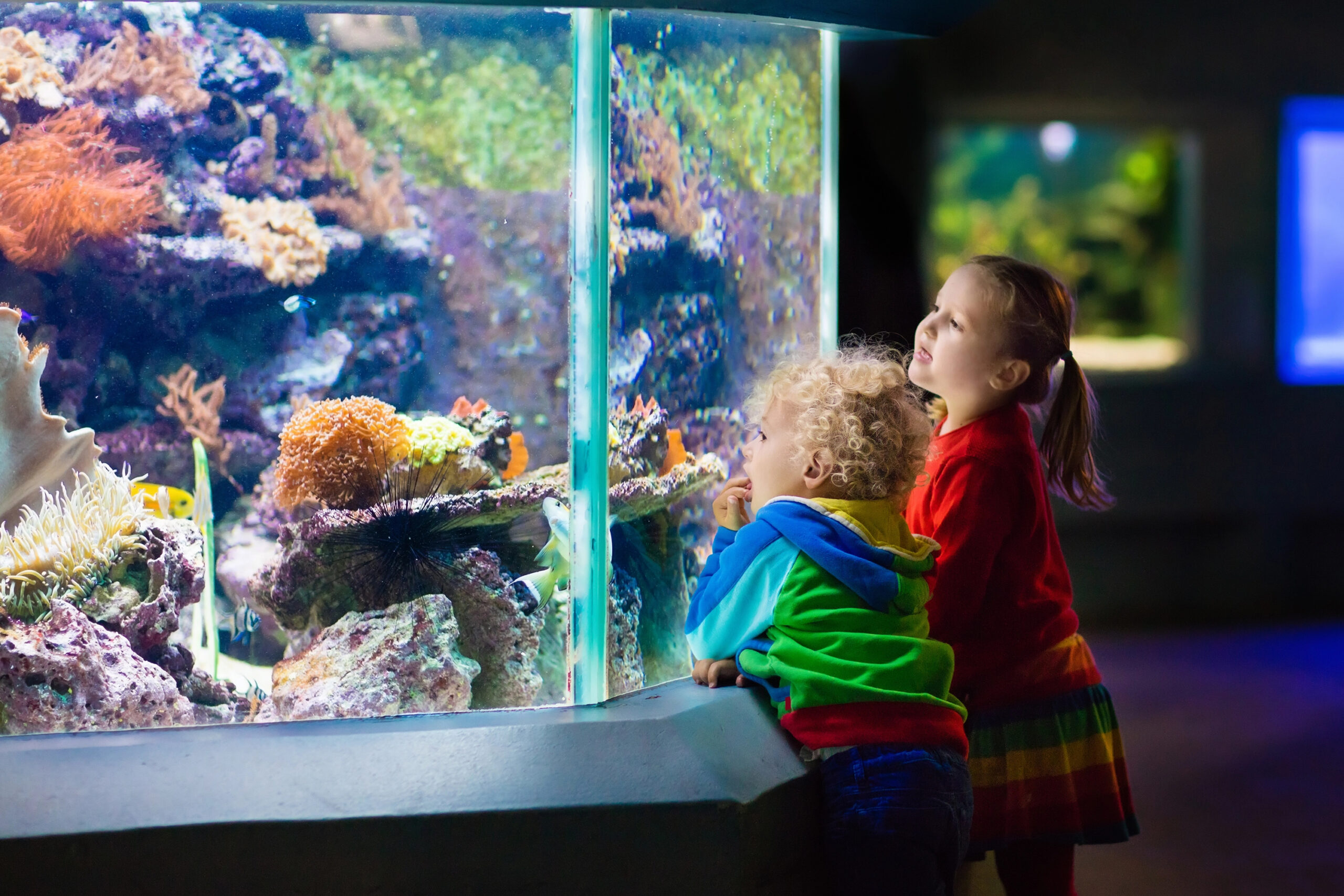young children at an aquarium