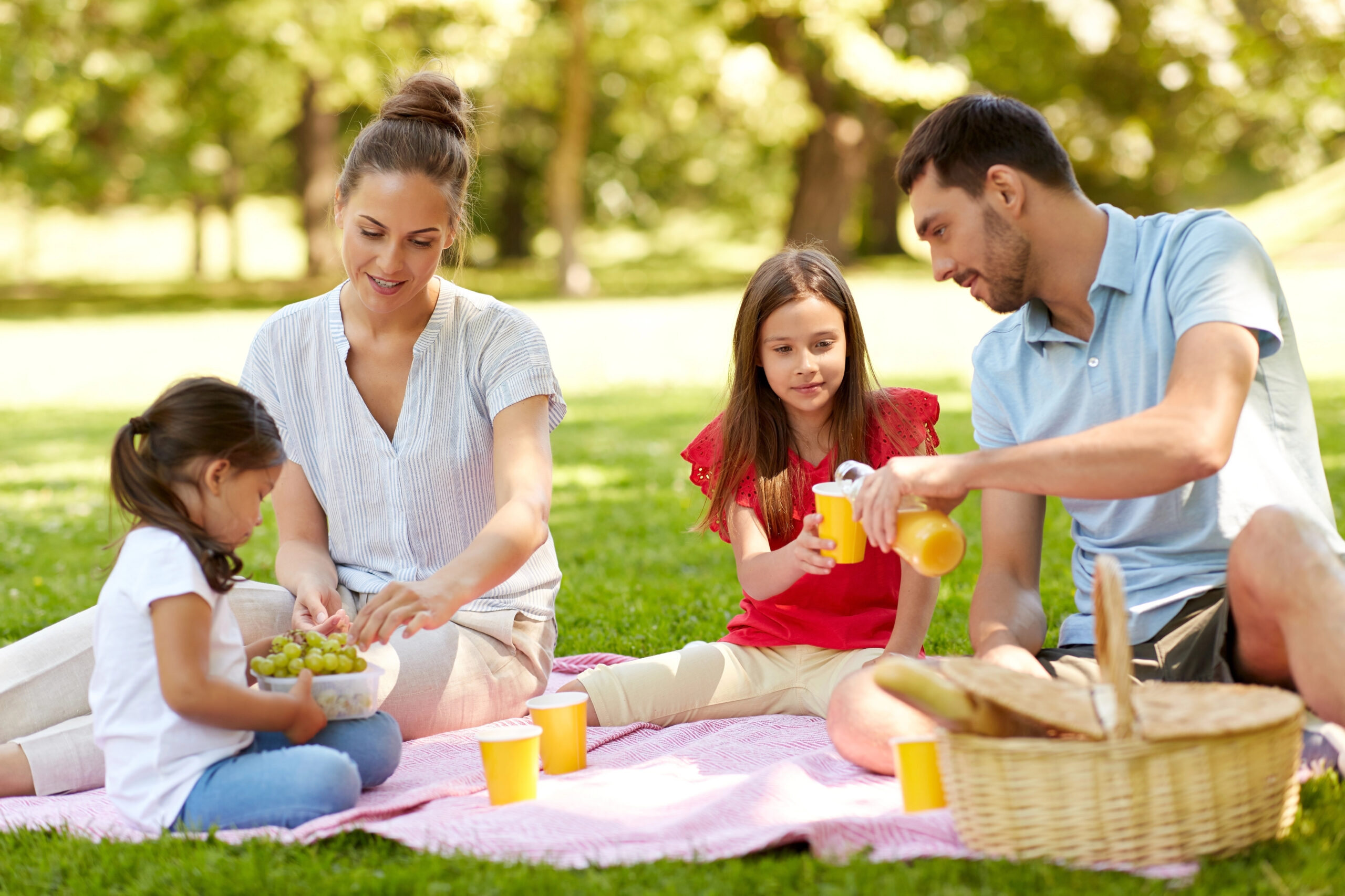 Family outside on a picnic